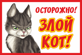 Табличка Злой кот